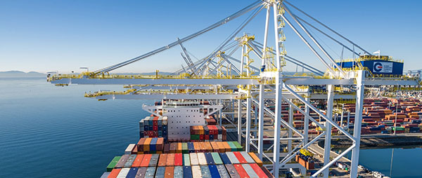 dự án nổi bật